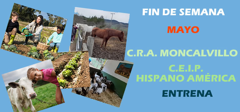 Fin de semana2024. Entrena