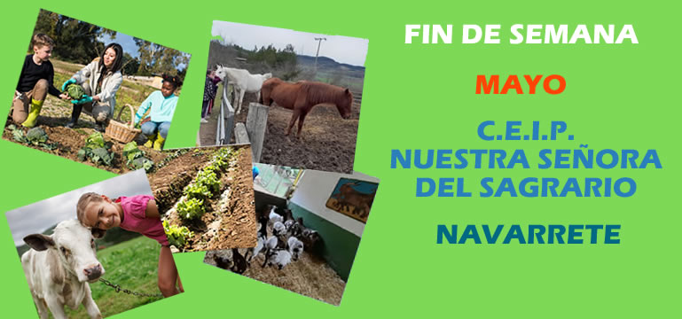 Fin de semana2024. Navarrete